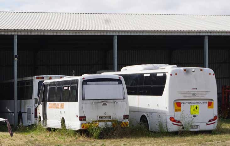 Caramar Mercedes 814D Alan B Denning Vario WAE631 King Long 6102AU SB15FU